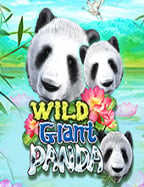 เว็บ พนัน ฟรี เครดิต 2020: วิธีเล่นเกมสนุกๆ